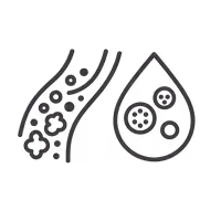 Cholesterol & Triglycerides