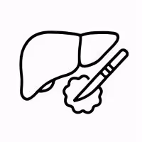Liver Cancer
